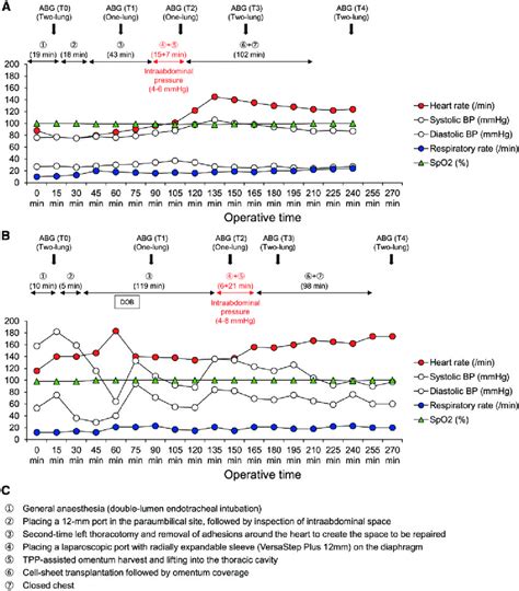 Haemodynamic and pulmonary parameters during the procedure in the (A ...