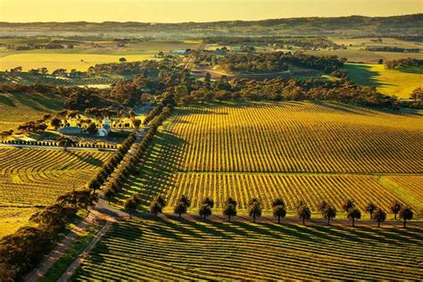 Best Barossa Valley Wineries [2023 Edition]