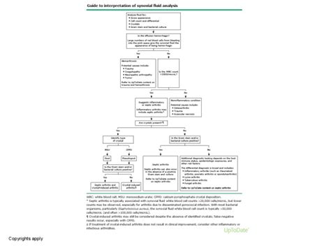 Guide To Interpretation of Synovial Fluid Analysis | PDF