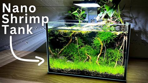 How To Make No filter Nano Shrimp Tank! | Step-by-step tutorial - YouTube