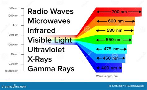 Electromagnetic Spectrum Information Gamma Rays Scheme Vector Stock ...