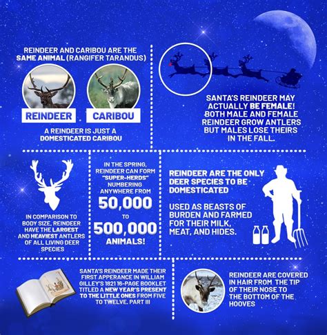 Seven fascinating facts about reindeer