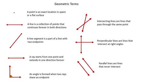 Картинки по запросу points of line | Basic geometry, Geometric terms ...