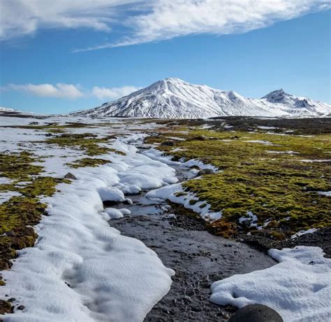 Clima da Tundra: [Características, Flora, Fauna e Adaptabilidade ...