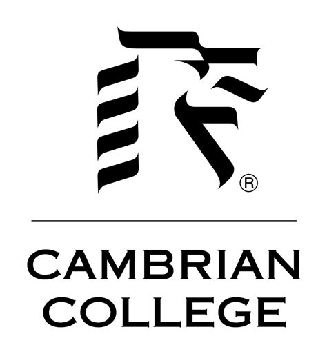 Cambrian College offers online options to Sault and area students ...