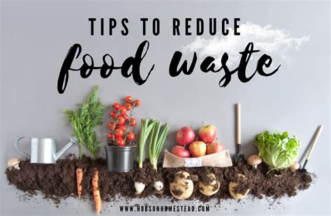 15 Tips to Reduce Food Waste - The Hobson Homestead