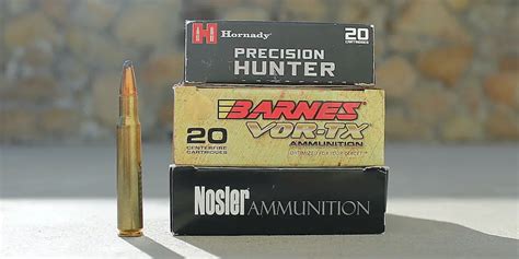 Best 30-06 Ammo For Hunting Elk, Deer, Bear, Hogs, & Other Game - Big ...