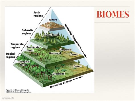 BIODIVERSITY: definition, levels and threats