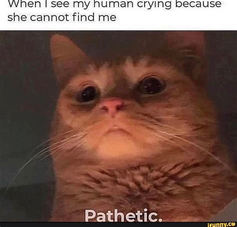 Vvnen I see my numan crying because she cannot find me Pathetic. - iFunny