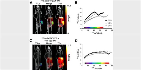 Molecular Imaging Provides Insight into Therapeutic Outcomes for ...