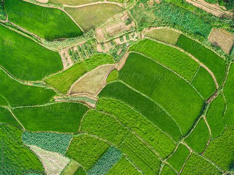 Aerial photography bird-eye view of farm farmland nature landsca by ...