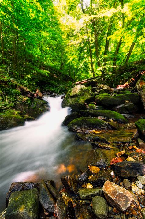 Amicalola Falls State Park - Travel Noob