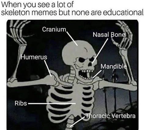 learn it | Skeletons | Know Your Meme