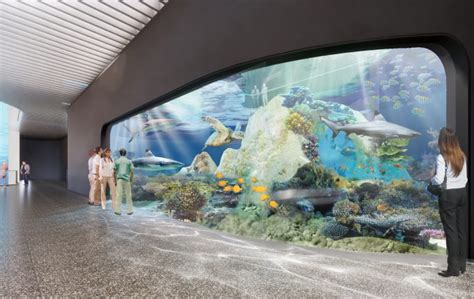 Oceans For All | Science Education Aquarium | Mote Marine