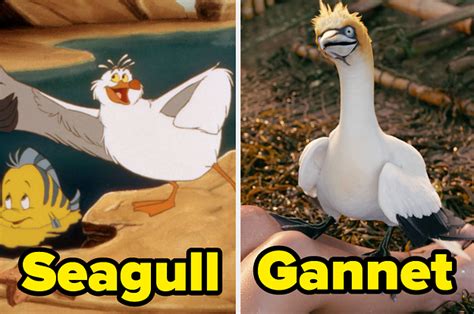 FYI, In The New "The Little Mermaid" Scuttle Isn't A Seagull Anymore ...