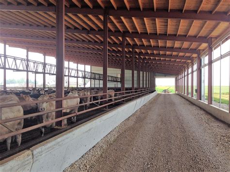 Cattle Barns l AgriSteel | AgriSteel