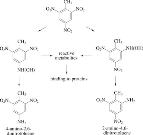 Figure 1 from 2,4,6-Trinitrotoluene (and isomers in technical mixtures ...