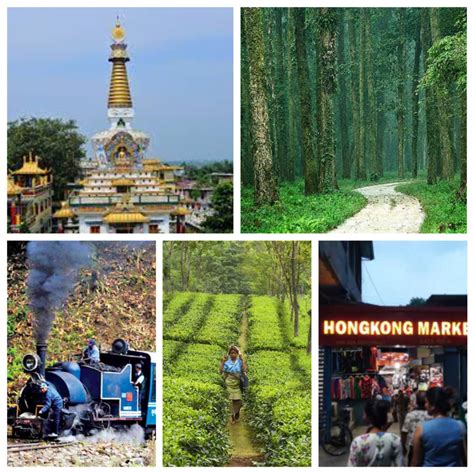 Top 5 Things to do in Siliguri