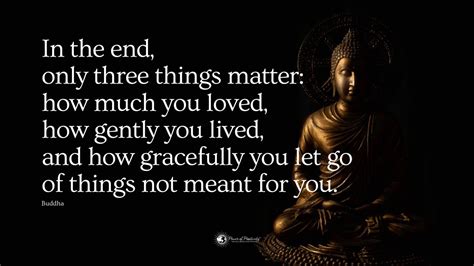 15 Wise Quotes About Life and Love from Buddha | Power of Positivity