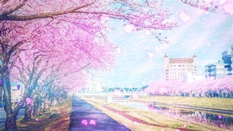 Path, anime spring season street HD wallpaper | Pxfuel