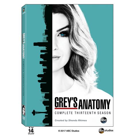 Own Season 13 of Grey's Anatomy on DVD | Grey's Anatomy