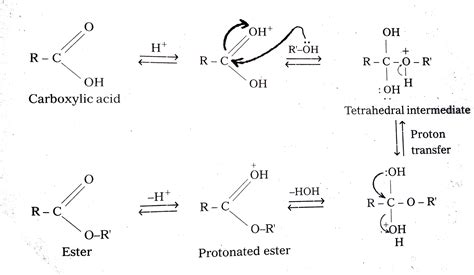 Esterification Mechanism