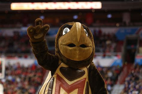 Ranking all 68 NCAA tournament teams by mascot | For The Win