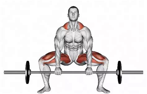 Sumo deadlift: Lift like sumo wrestlers for superhuman strength