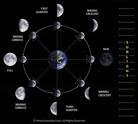 Moon Phases / Lunar Phases Explained