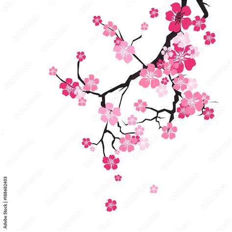 Cherry Blossom Background Sakura Flowers Pink On Branch Flat Vector ...