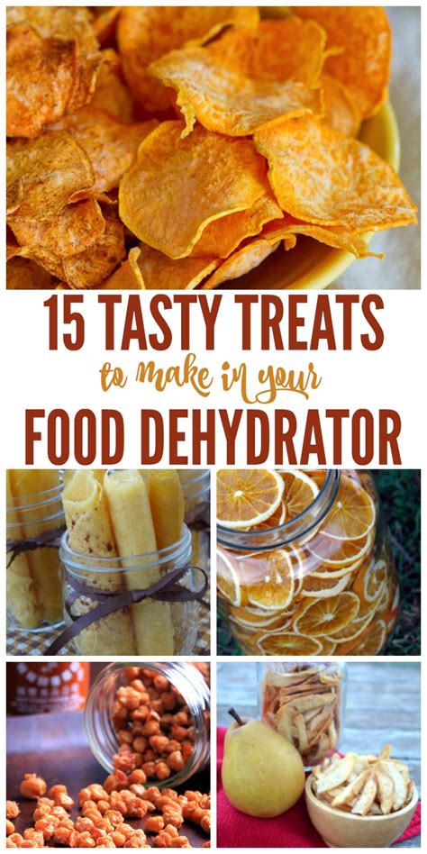 15 Tasty Treats to Make in Your Food Dehydrator