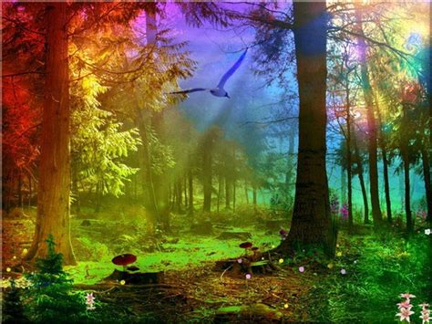 Colorful Nature Wallpaper