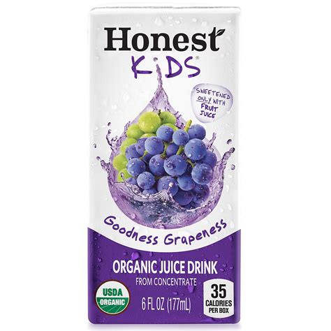 Honest Kids Healthy Organic Fruit Juice Drink Boxes for Children ...