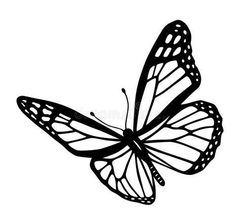 White Butterflies Clipart