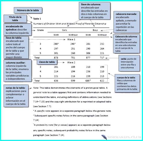 Estructura de una Tablas > Normas APA 【2024