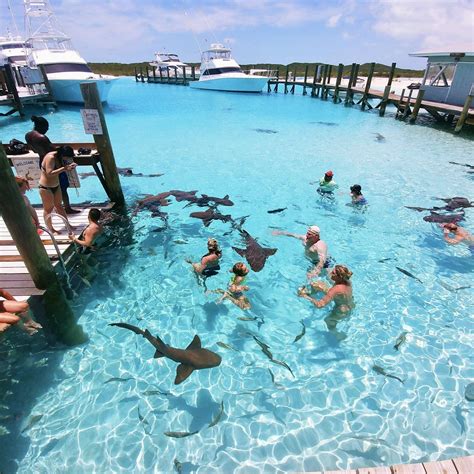 Top Things to do in Exuma Bahamas: Travel Guide | Dream vacations ...