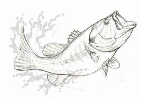 Underwater Largemouth Bass Drawing - Fish Print Largemouth Bass ...