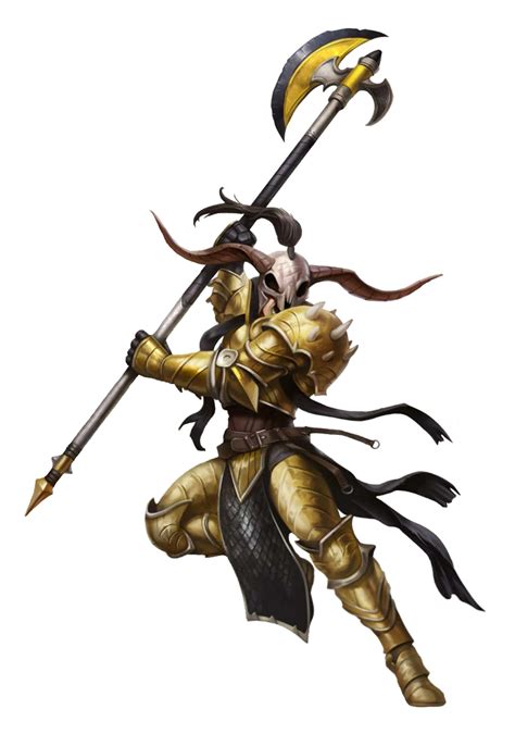 Male Human Greataxe Polearm Fighter - Pathfinder PFRPG DND D&D d20 ...