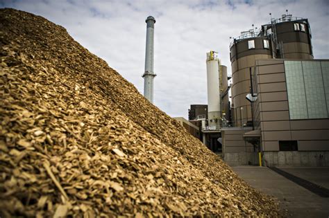 Missouri researchers say biomass mix can cut emissions at some coal ...