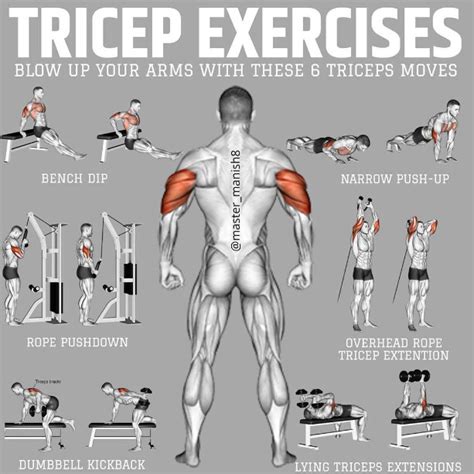 ArtStation - Tricep Workout