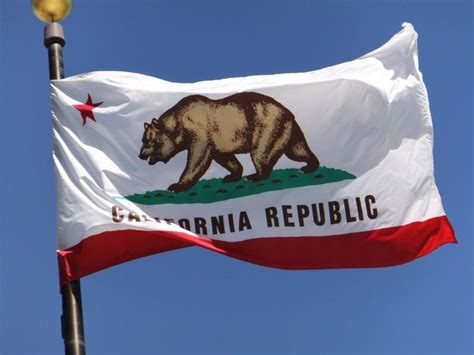 10 Interesting Facts About California Flag - OhFact!