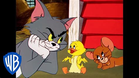 Tom & Jerry | Quack, Quack, Little Quacker! | Classic Cartoon ...