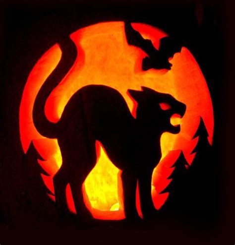 If you’re looking for some cat-themed jack-o-lantern ideas or you just ...