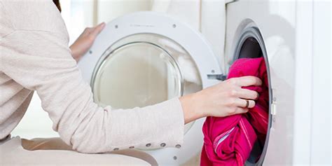 Best Energy Efficient Tumble Dryers For 2024: Which? Eco Buys & Buying ...