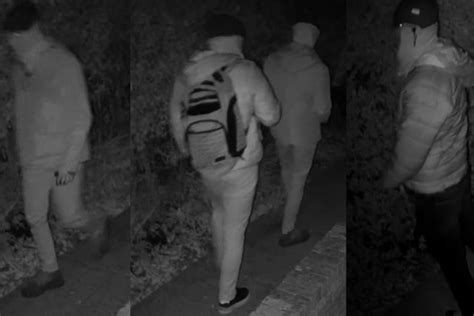 Pictured: CCTV images of people sought by police in connection with ...