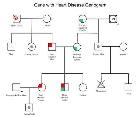 Free Editable Genogram Examples | EdrawMax Online