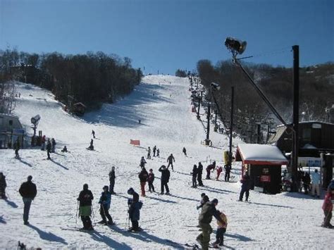 Appalachian ski mountain Boone, NC Used to go as a kid every winter ...