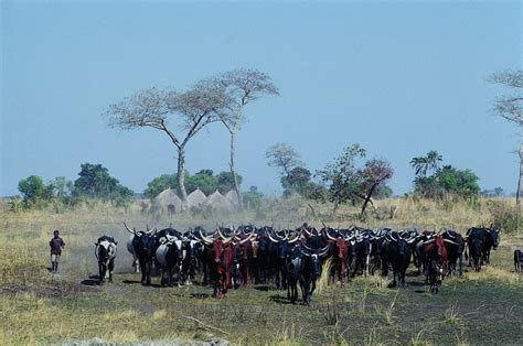 People of Zambia