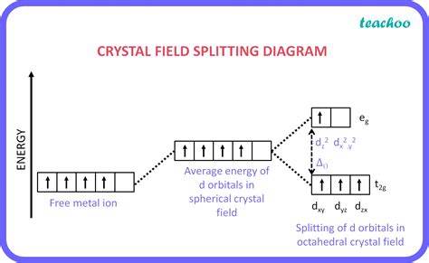 [Chemistry Class 12 SQP] Draw the crystal field splitting diagram for