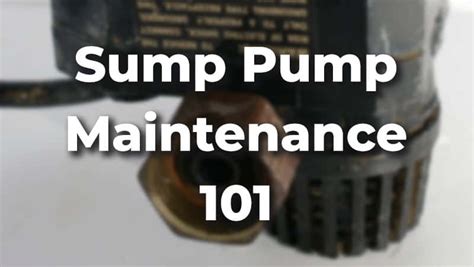 Sump Pump Maintenance 101: All You Need to Know [With Video ...